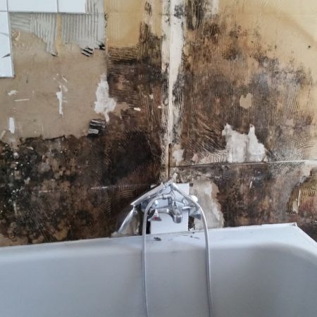 IMG-20170817-WA0000